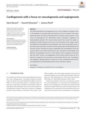Cardiogenesis with a Focus on Vasculogenesis and Angiogenesis