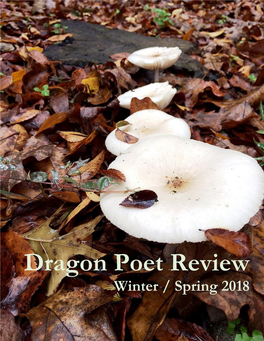 Winter / Spring 2018 Issue Dragon Poet Review