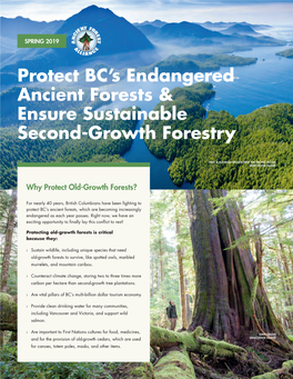 Protect BC's Endangered Ancient Forests