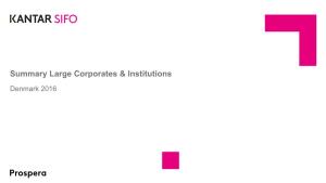 Summary Large Corporates & Institutions