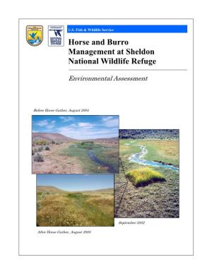 Horse and Burro Management at Sheldon National Wildlife Refuge