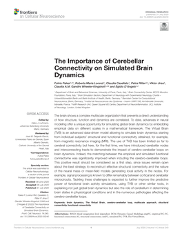 The Importance of Cerebellar Connectivity on Simulated Brain Dynamics