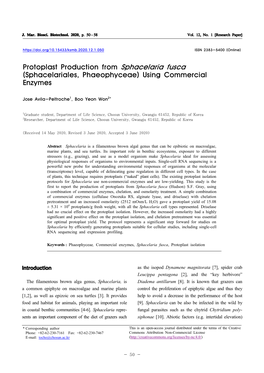 Protoplast Production from Sphacelaria Fusca (Sphacelariales, Phaeophyceae) Using Commercial Enzymes