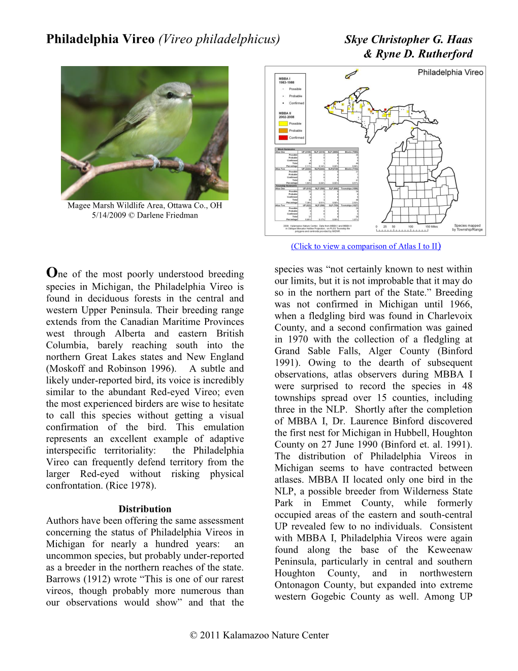 Philadelphia Vireo (Vireo Philadelphicus) Skye Christopher G