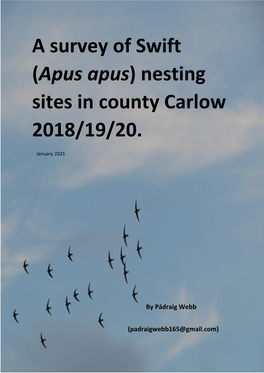 Co. Carlow Swift Nest Site Report Updated in 2020 by Pádraig Webb