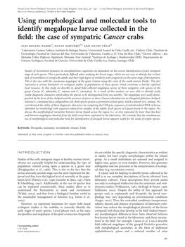 Using Morphological and Molecular Tools to Identify Megalopae Larvae