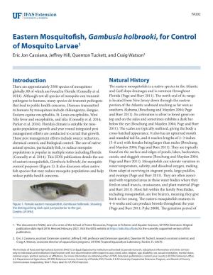 Eastern Mosquitofish, Gambusia Holbrooki, for Control of Mosquito
