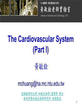 The Cardiovascular System (Part I) 黃敏銓