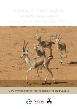 Slender-Horned Gazelle Gazella Leptoceros Conservation Strategy 2020-2029