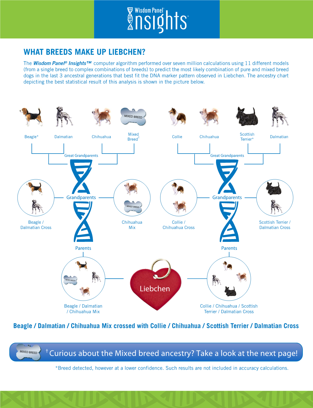 What Breeds Make up Liebchen?