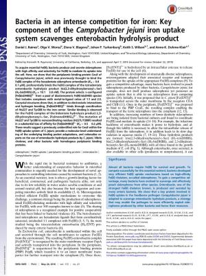 Key Component of the Campylobacter Jejuni Iron Uptake System Scavenges Enterobactin Hydrolysis Product