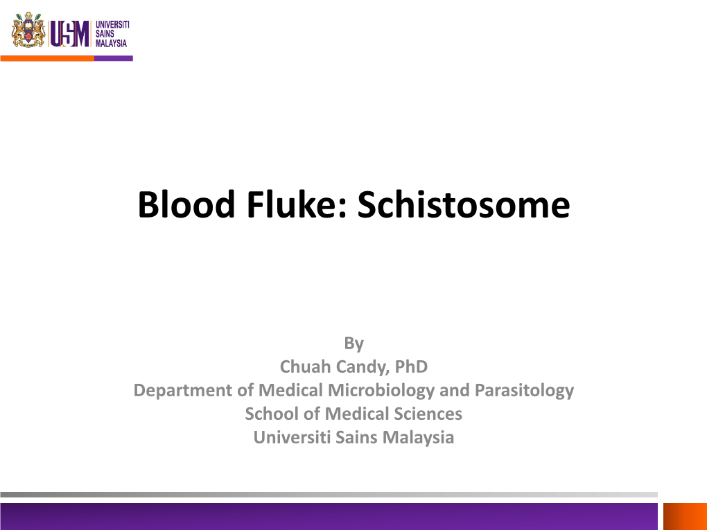 Blood Fluke: Schistosome