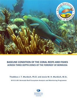 Baseline Condition of the Coral Reefs and Fishes Across Three Depth Zones of the Forereef of Bermuda