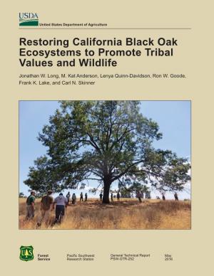Restoring California Black Oak Ecosystems to Promote Tribal Values and Wildlife Jonathan W