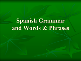 Spanish Grammar and Words & Phrases