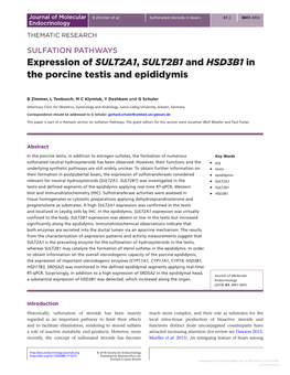 Expression of SULT2A1, SULT2B1 and HSD3B1 in the Porcine Testis and Epididymis