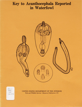 Key to Acanthocephala Reported in Waterfowl
