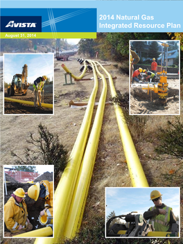 2014 Natural Gas Integrated Resource Plan