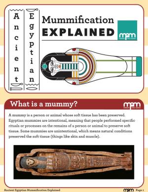 Mummification Explained Page 1 Other Types of Mummies