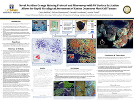 Novel Acridine Orange Staining Protocol and Microscopy with UV Surface Excitation Allows for Rapid Histological Assessment of Canine Cutaneous Mast Cell Tumors