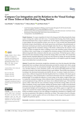 Compass Cue Integration and Its Relation to the Visual Ecology of Three Tribes of Ball-Rolling Dung Beetles