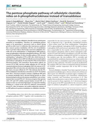 The Pentose Phosphate Pathway of Cellulolytic Clostridia Relies on 6