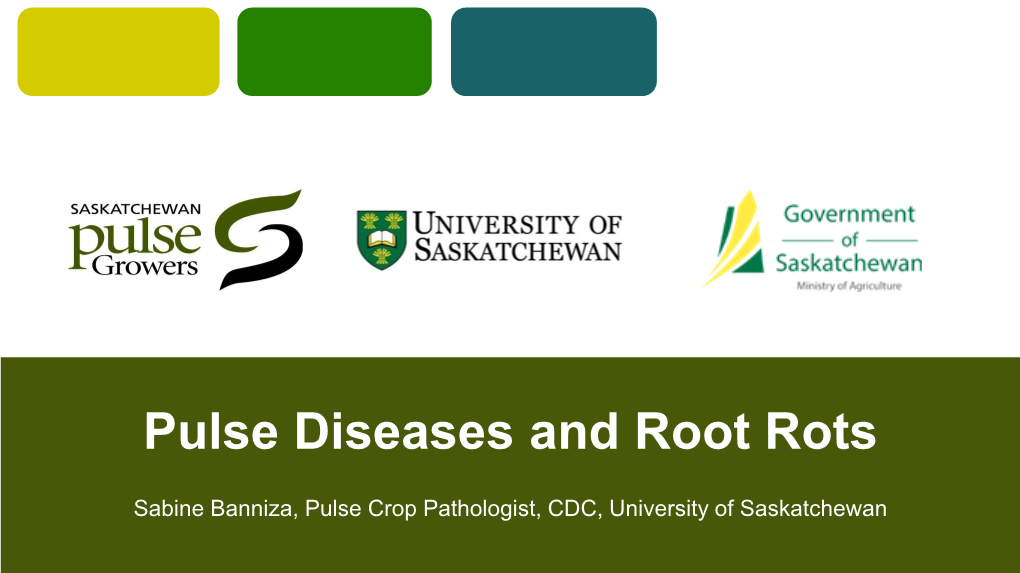Pulse Diseases and Root Rots