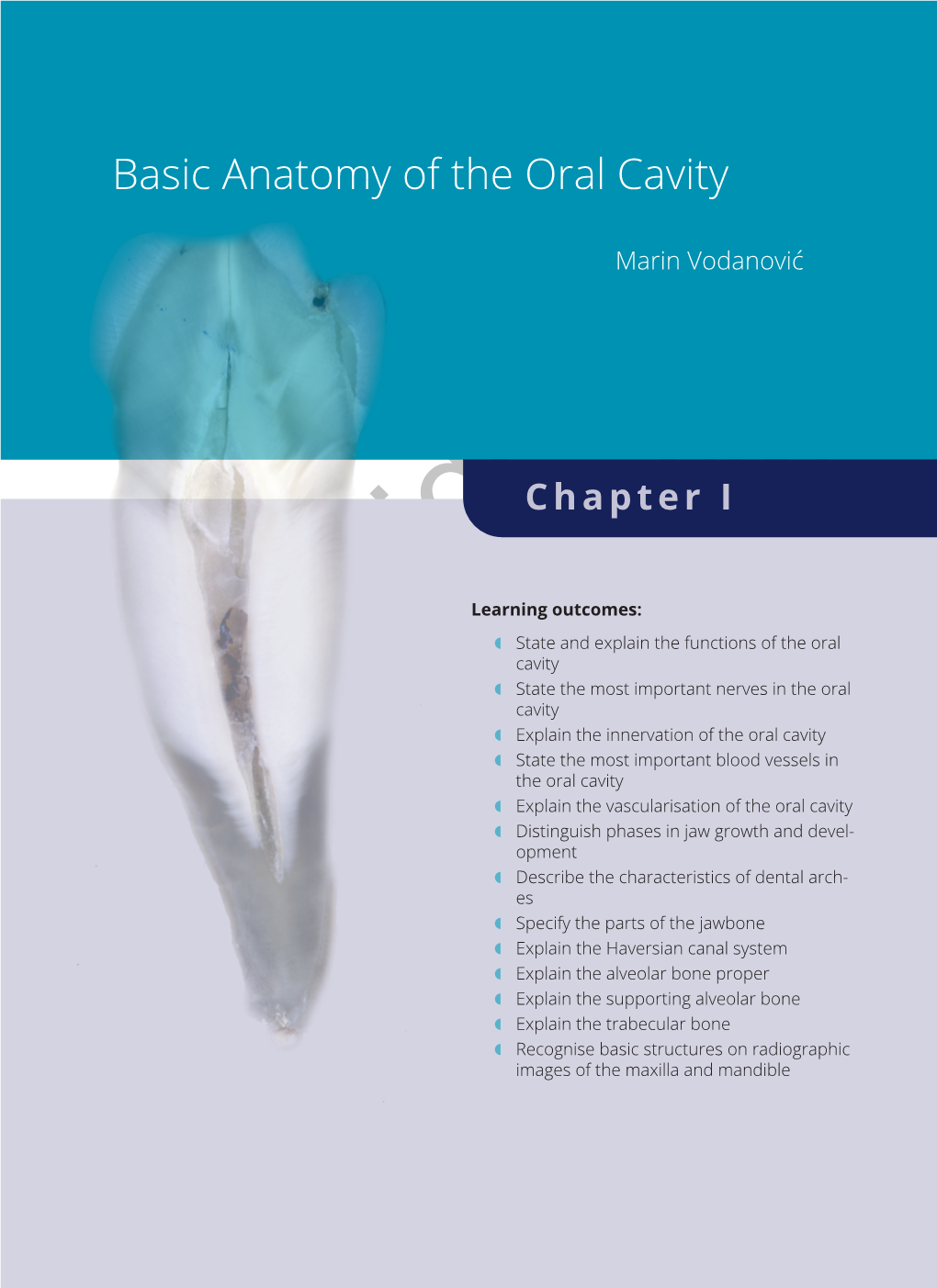 Basic Anatomy of the Oral Cavity