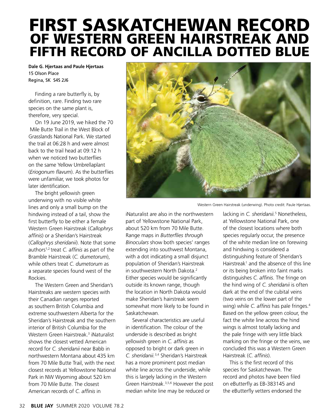 First Saskatchewan Record of Western Green Hairstreak and Fifth Record of Ancilla Dotted Blue
