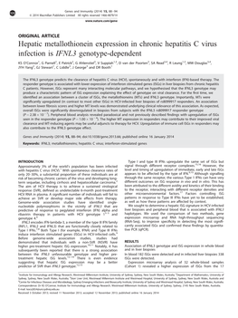 Hepatic Metallothionein Expression in Chronic Hepatitis C Virus Infection Is IFNL3 Genotype-Dependent