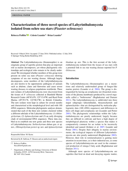 Characterization of Three Novel Species of Labyrinthulomycota Isolated from Ochre Sea Stars (Pisaster Ochraceus)