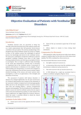 Objective Evaluation of Patients with Vestibular Disorders