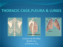 Thoracic Wall,Pleura & Lungs