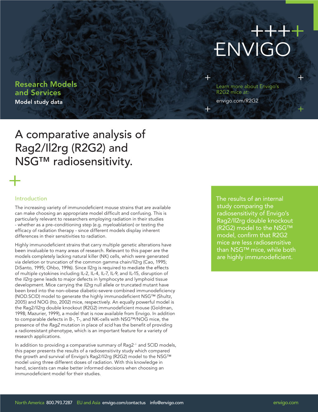 A Comparative Analysis of Rag2/Il2rg (R2G2) and NSG™ Radiosensitivity