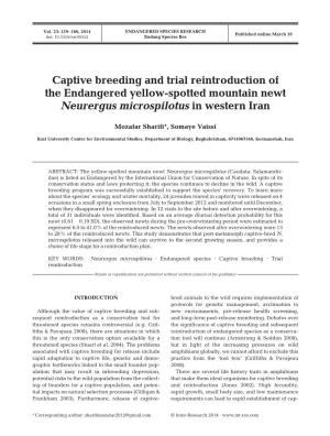 Captive Breeding and Trial Reintroduction of the Endangered Yellow-Spotted Mountain Newt Neurergus Microspilotus in Western Iran