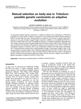 Natural Selection on Body Size in Tribolium: Evolution