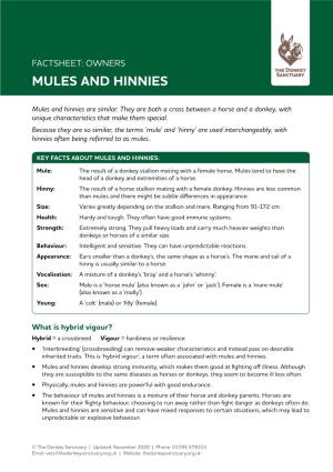 Mules and Hinnies Factsheet
