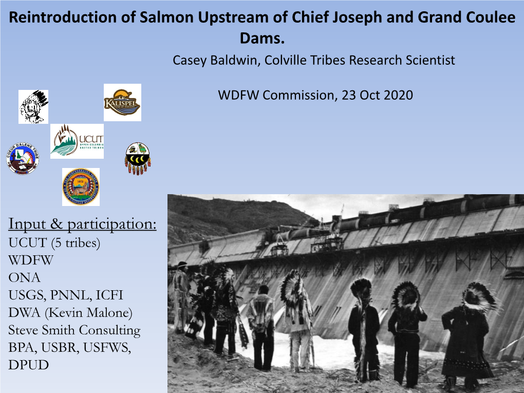 Reintroduction of Salmon Upstream of Chief Joseph and Grand Coulee Dams