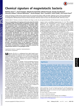 Chemical Signature of Magnetotactic Bacteria