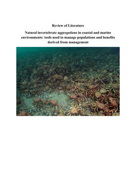 Literature Review Natural Invertebrate Aggregations in Coastal and Marine