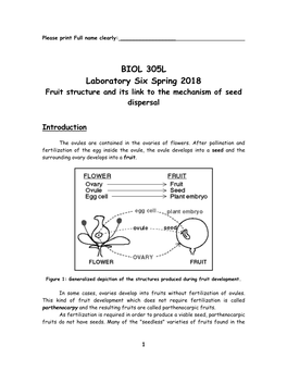 BIOL 305L Laboratory Six Spring 2018 Fruit Structure and Its Link to the Mechanism of Seed Dispersal