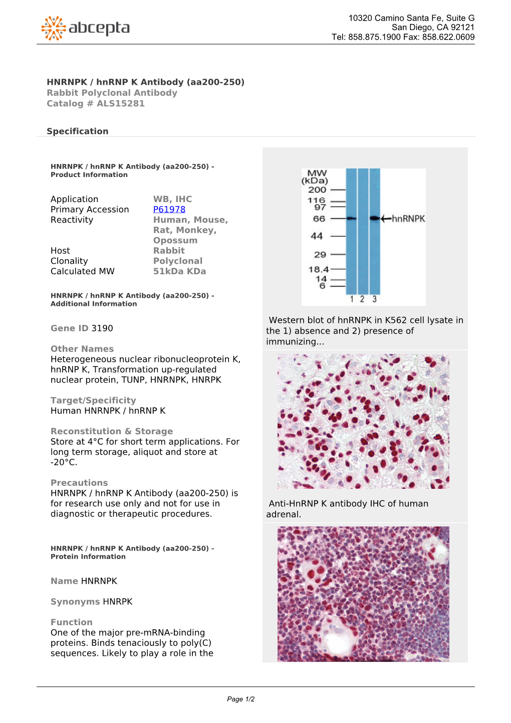 HNRNPK / Hnrnp K Antibody (Aa200-250) Rabbit Polyclonal Antibody Catalog # ALS15281