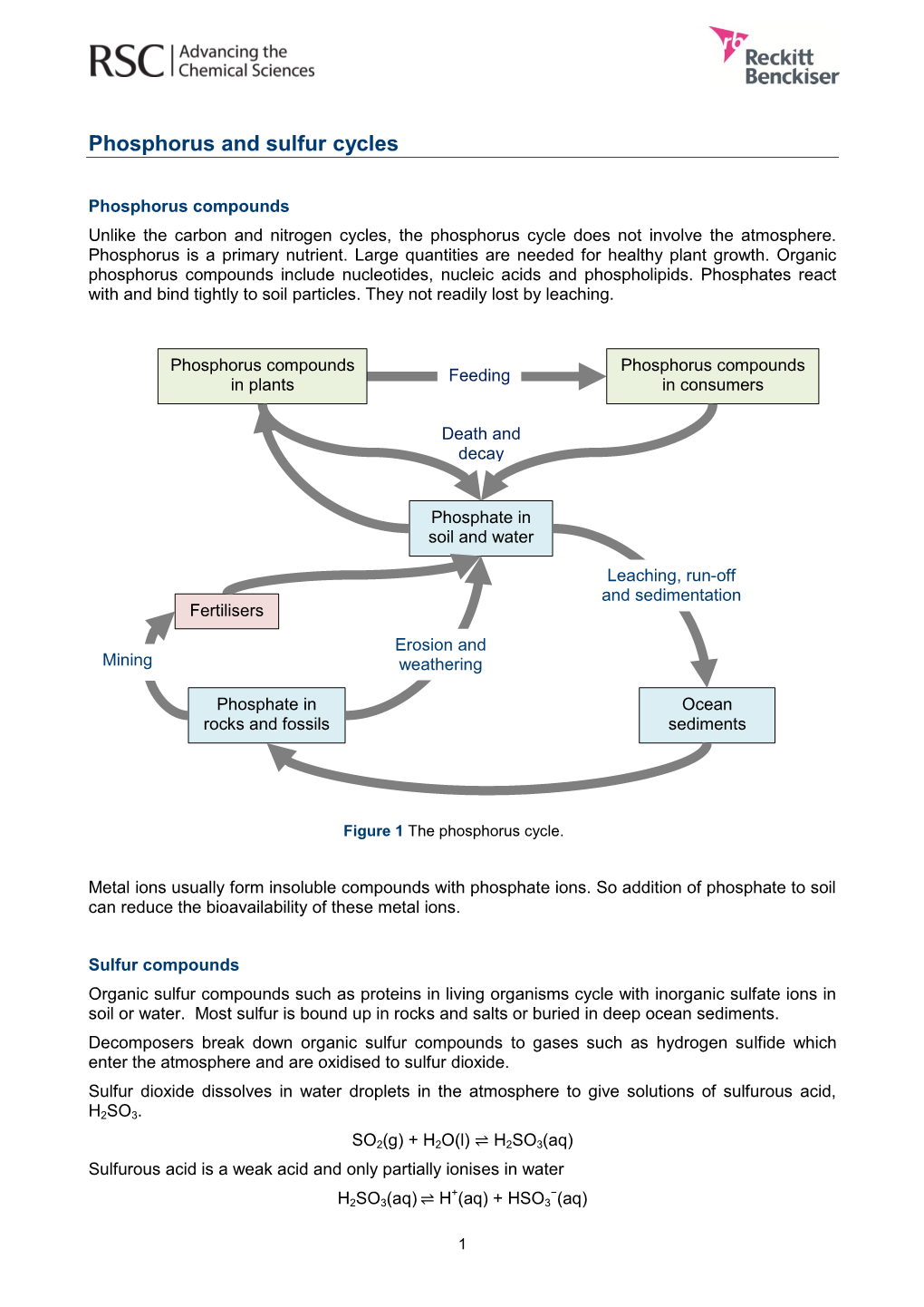 Phosphorus and Sulfur Cycles