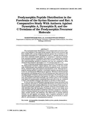 Prodynorphin Peptide Distribution in the Forebrain of the Syrian Hamster