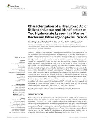 Characterization of a Hyaluronic Acid Utilization Locus and Identification of Two Hyaluronate Lyases in a Marine Bacterium Vibrio Alginolyticus LWW-9