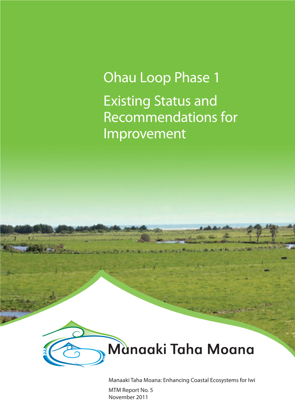 Ohau Loop Phase 1 Existing Status and Recommendations for Improvement