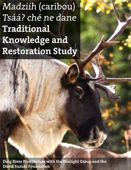 Caribou) Tsáá? Ché Ne Dane Traditional Knowledge and Restoration Study