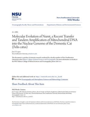 Molecular Evolution of Numt, a Recent Transfer and Tandem Amplification of Mitochondrial DNA Into the Nuclear Genome of the Domestic Cat (Felis Catus) Jose V