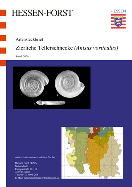 Zierliche Tellerschnecke (Anisus Vorticulus)