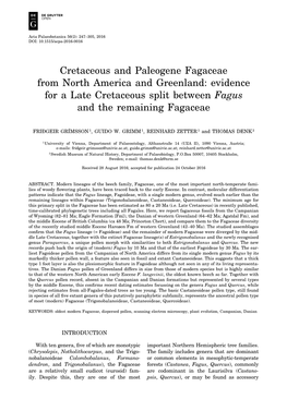 Cretaceous and Paleogene Fagaceae from North America and Greenland: Evidence for a Late Cretaceous Split Between Fagus and the Remaining Fagaceae